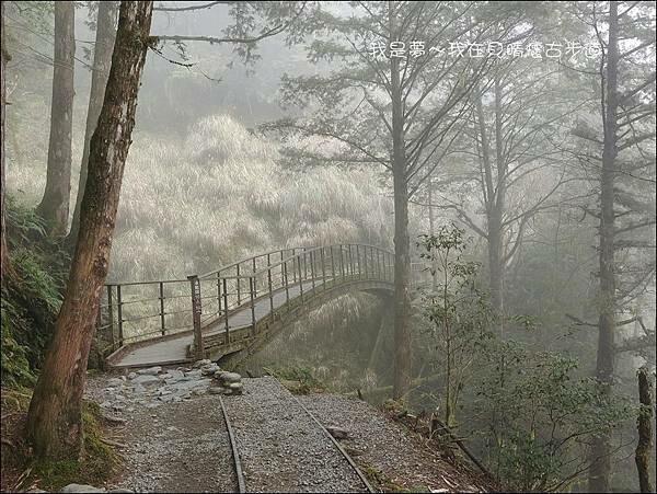 見晴懷古步道21.jpg