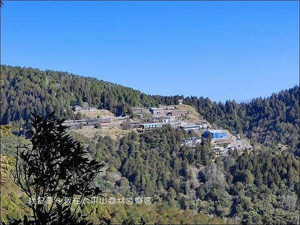 太平山森林遊樂區96.jpg