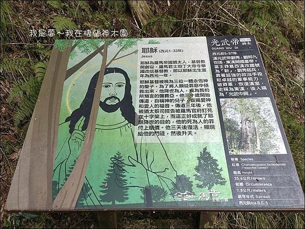 棲蘭神木園61.jpg