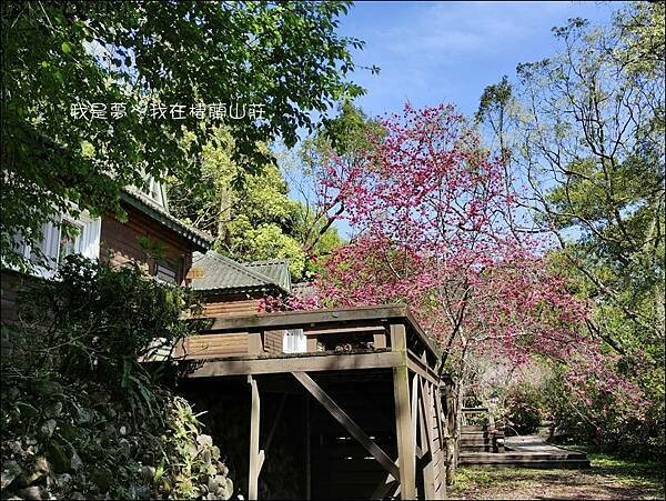 棲蘭山莊40.jpg 棲蘭山莊40.jpg