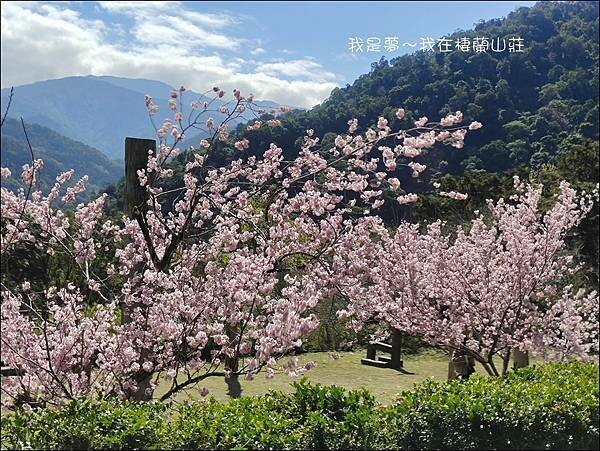 棲蘭山莊10.jpg 棲蘭山莊10.jpg