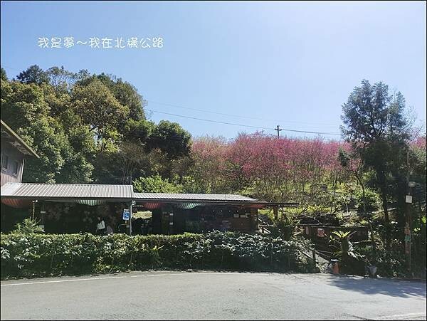 太平山森林遊樂區03.jpg 太平山森林遊樂區03.jpg