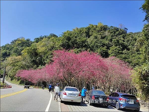 太平山森林遊樂區04.jpg 太平山森林遊樂區04.jpg