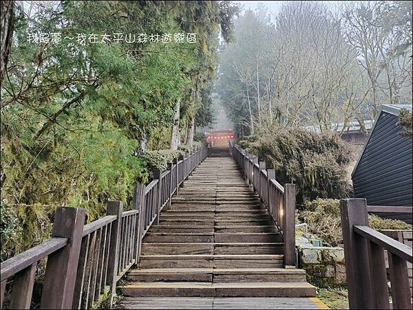 太平山森林遊樂區41.jpg