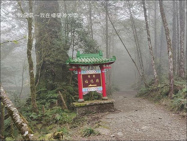 棲蘭神木園89.jpg