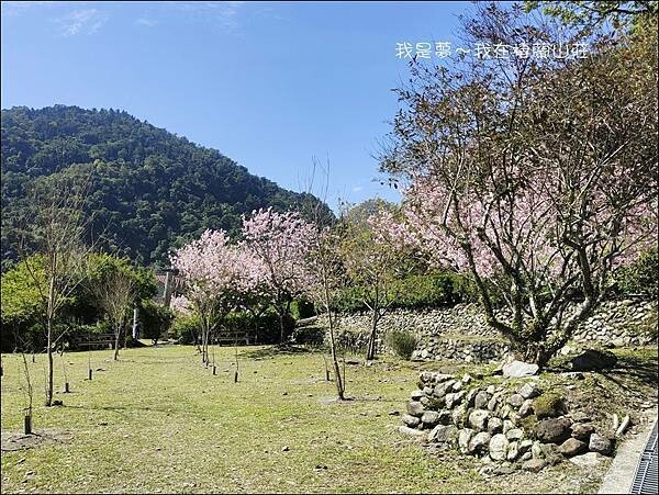 棲蘭山莊06.jpg 棲蘭山莊06.jpg