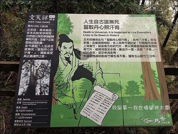 棲蘭神木園23.jpg