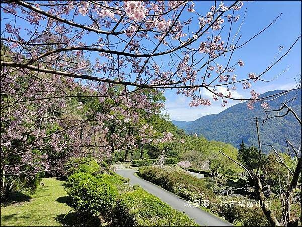 棲蘭山莊37.jpg 棲蘭山莊37.jpg