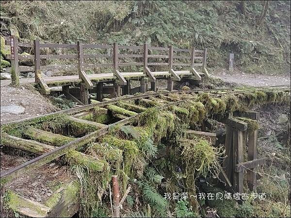 見晴懷古步道15.jpg