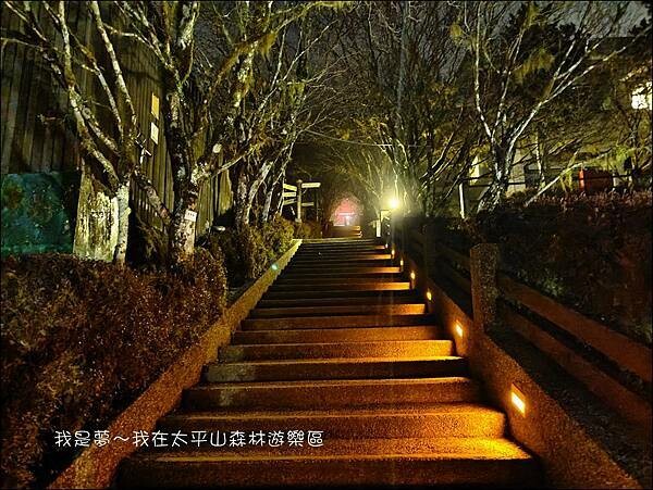 太平山森林遊樂區53.jpg