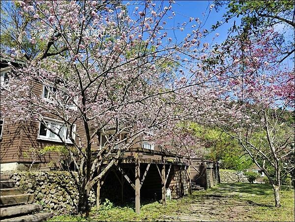 棲蘭山莊42.jpg 棲蘭山莊42.jpg