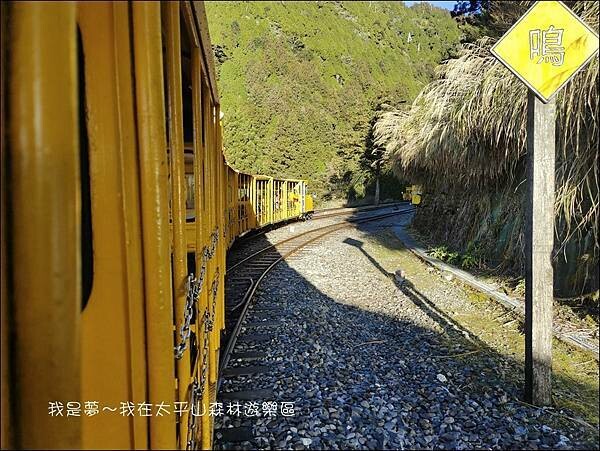 太平山森林遊樂區71.jpg