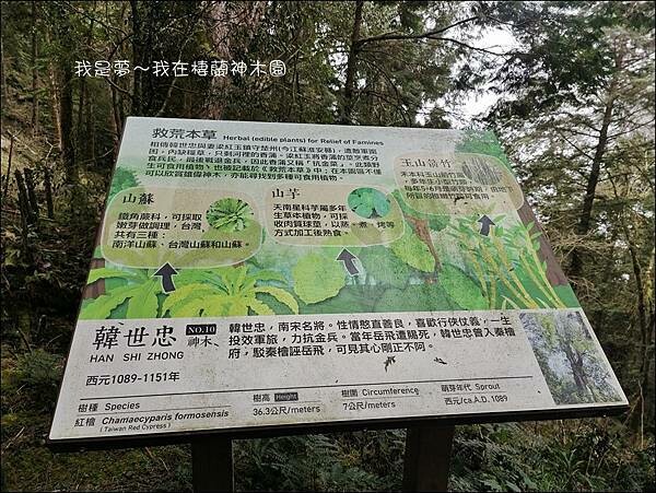 棲蘭神木園27.jpg