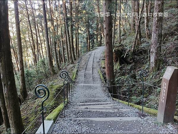 太平山森林遊樂區79.jpg