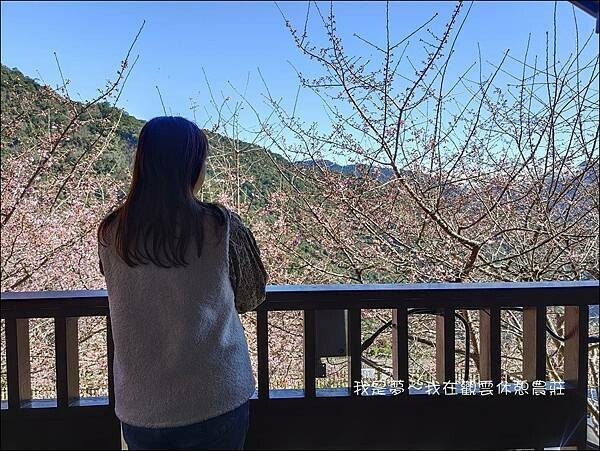 觀雲休憩農莊21.jpg
