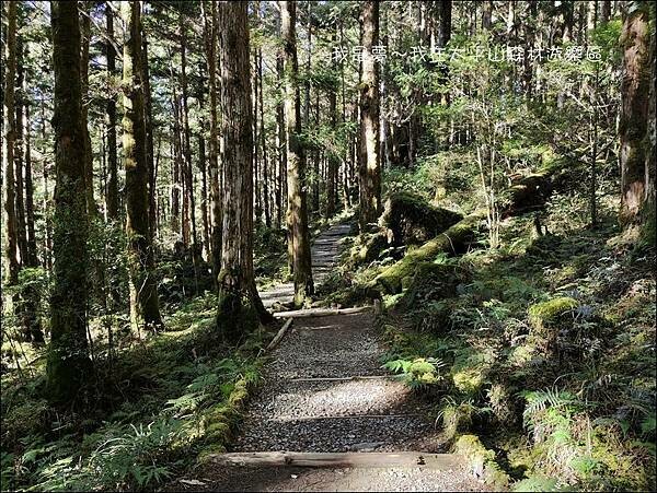 太平山森林遊樂區93.jpg