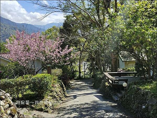棲蘭山莊44.jpg 棲蘭山莊44.jpg