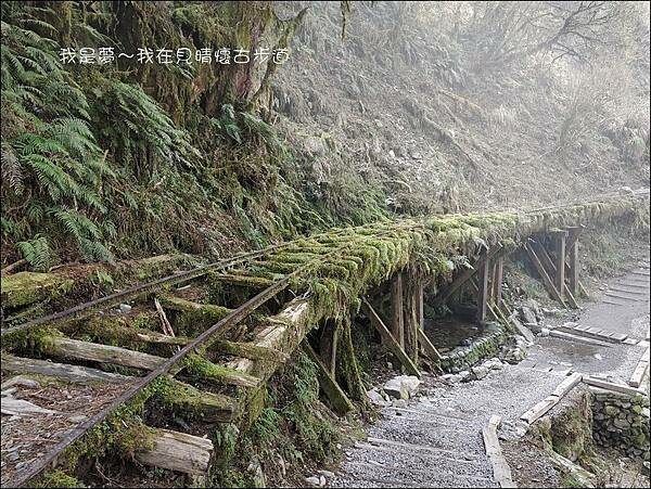 見晴懷古步道18.jpg