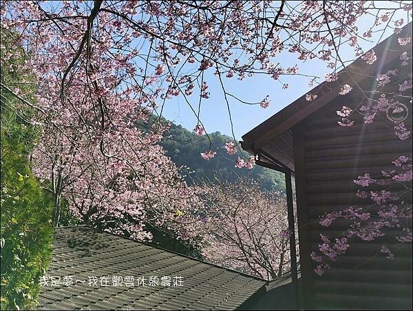 觀雲休憩農莊10.jpg