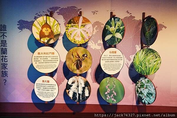 DSC04494.jpg DSC04494.jpg