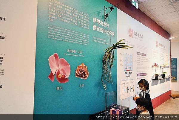 DSC04502.jpg DSC04502.jpg