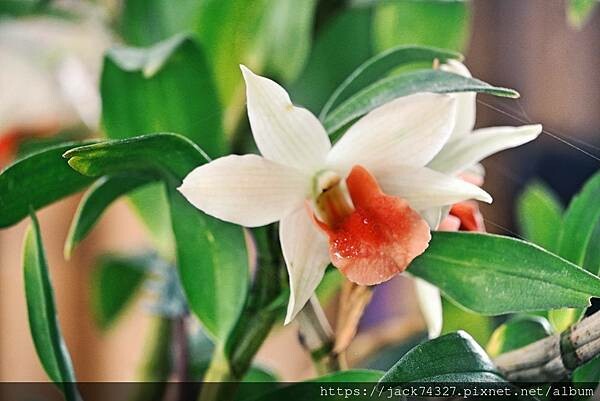 DSC04286.jpg DSC04286.jpg