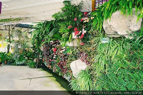 DSC04278.jpg DSC04278.jpg