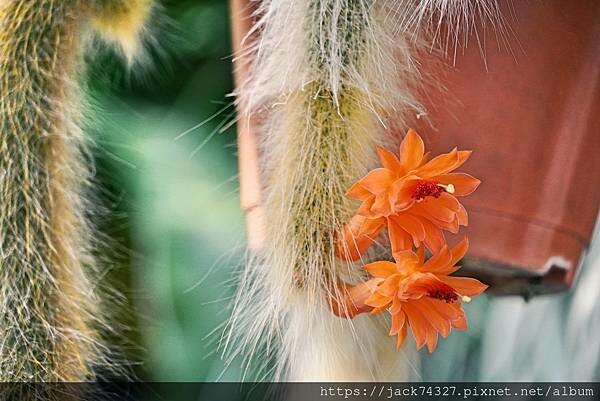 DSC04289.jpg DSC04289.jpg