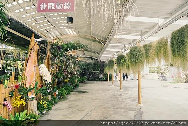 DSC04265.jpg DSC04265.jpg