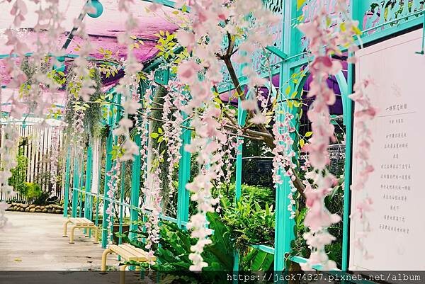 DSC04355.jpg DSC04355.jpg