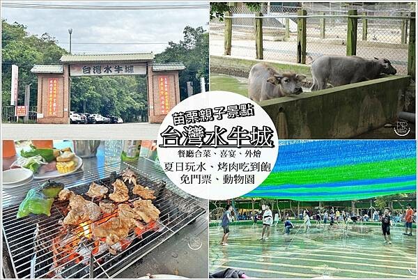 台灣水牛城 (43)..jpg 台灣水牛城 (43)..jpg