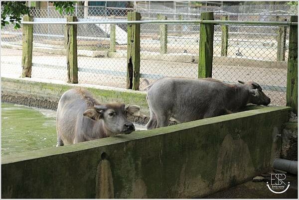 B09D4482-2BD2-4B05-A664-D790B9587CA1.jpg B09D4482-2BD2-4B05-A664-D790B9587CA1.jpg