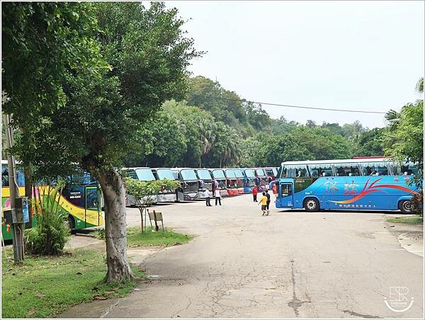 台灣水牛城 (41).JPG 台灣水牛城 (41).JPG