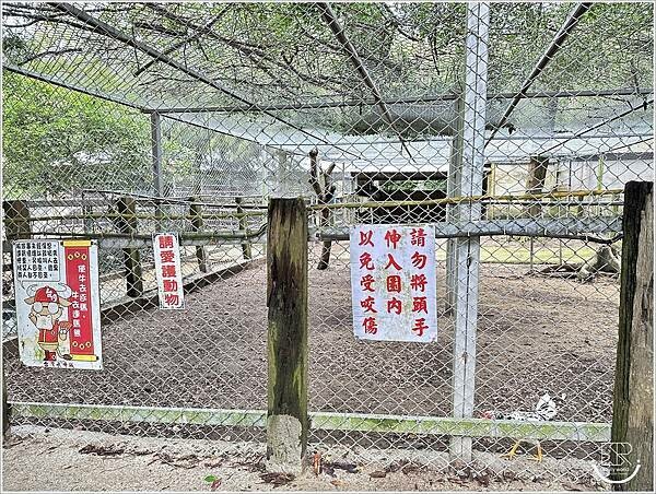 台灣水牛城 (63).jpg 台灣水牛城 (63).jpg