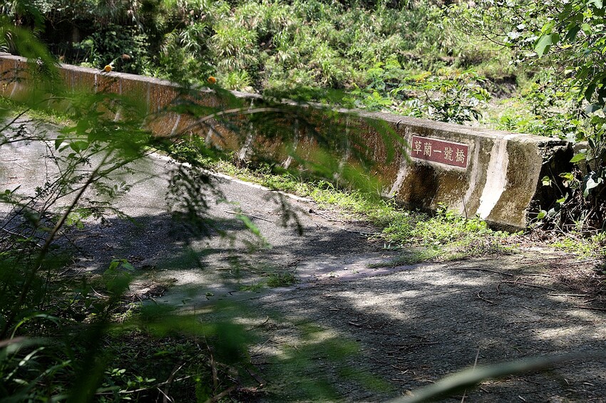 嘉義大埔秘境!全台最美觀景台|和平竹炭窯|內葉翅吊橋|玄山湖山林|大埔和平社區最適合親子的慢活嘉義兩