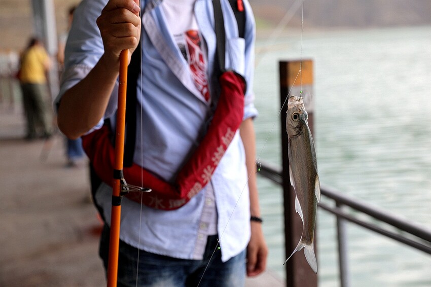 嘉義大埔秘境!全台最美觀景台|和平竹炭窯|內葉翅吊橋|玄山湖山林|大埔和平社區最適合親子的慢活嘉義兩