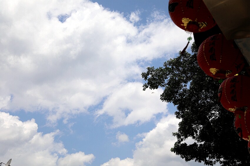 嘉義大埔秘境!全台最美觀景台|和平竹炭窯|內葉翅吊橋|玄山湖山林|大埔和平社區最適合親子的慢活嘉義兩