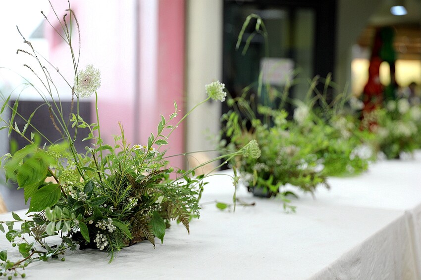 嘉義大埔秘境!全台最美觀景台|和平竹炭窯|內葉翅吊橋|玄山湖山林|大埔和平社區最適合親子的慢活嘉義兩