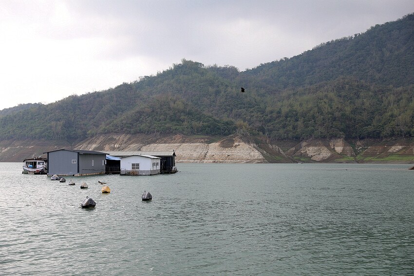 嘉義大埔秘境!全台最美觀景台|和平竹炭窯|內葉翅吊橋|玄山湖山林|大埔和平社區最適合親子的慢活嘉義兩