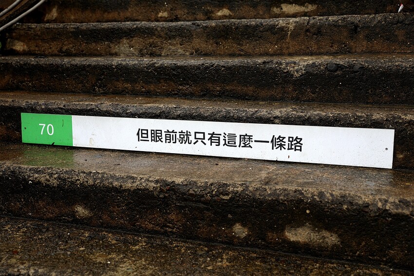 嘉義大埔秘境!全台最美觀景台|和平竹炭窯|內葉翅吊橋|玄山湖山林|大埔和平社區最適合親子的慢活嘉義兩