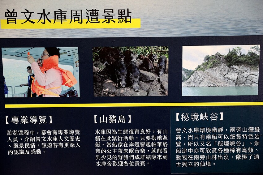 嘉義大埔秘境!全台最美觀景台|和平竹炭窯|內葉翅吊橋|玄山湖山林|大埔和平社區最適合親子的慢活嘉義兩