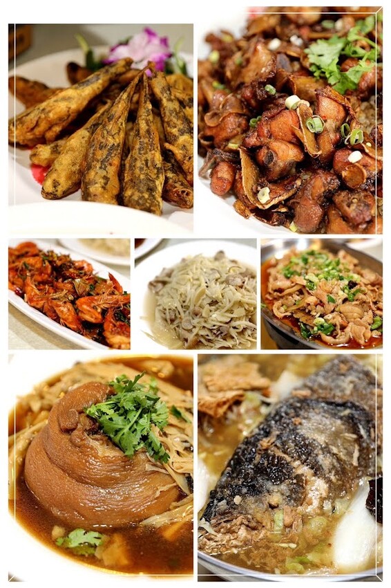 嘉義大埔秘境!全台最美觀景台|和平竹炭窯|內葉翅吊橋|玄山湖山林|大埔和平社區最適合親子的慢活嘉義兩