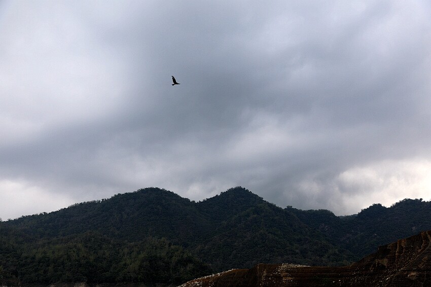 嘉義大埔秘境!全台最美觀景台|和平竹炭窯|內葉翅吊橋|玄山湖山林|大埔和平社區最適合親子的慢活嘉義兩
