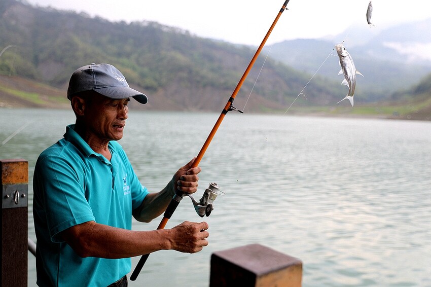 嘉義大埔秘境!全台最美觀景台|和平竹炭窯|內葉翅吊橋|玄山湖山林|大埔和平社區最適合親子的慢活嘉義兩