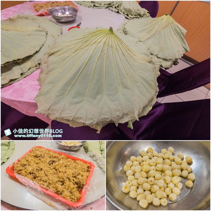 絕美單車路線!期間限定彩繪稻田、夏日煙花、荷葉飯DIY