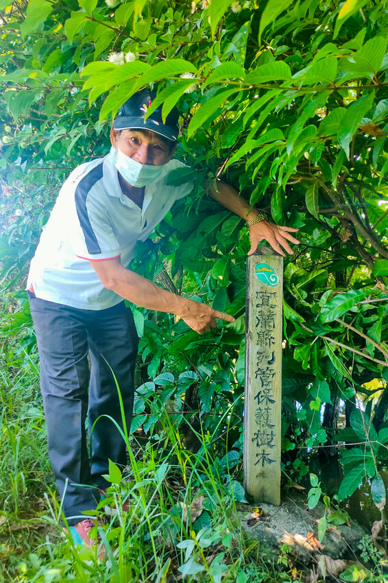 絕美單車路線!期間限定彩繪稻田、夏日煙花、荷葉飯DIY