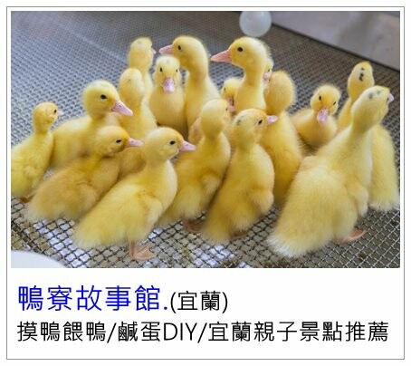 絕美單車路線!期間限定彩繪稻田、夏日煙花、荷葉飯DIY