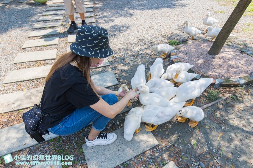 絕美單車路線!期間限定彩繪稻田、夏日煙花、荷葉飯DIY