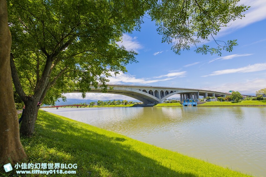 絕美單車路線!期間限定彩繪稻田、夏日煙花、荷葉飯DIY