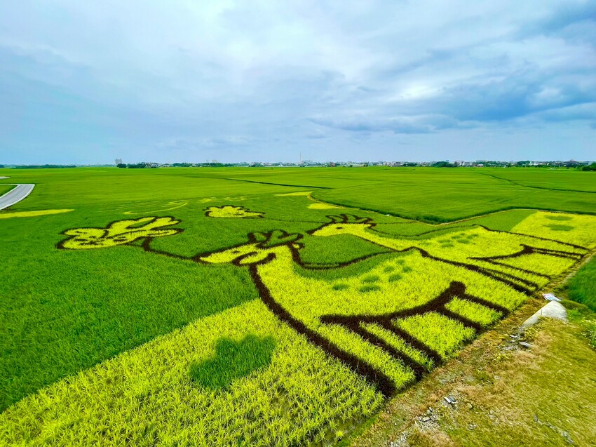 絕美單車路線!期間限定彩繪稻田、夏日煙花、荷葉飯DIY